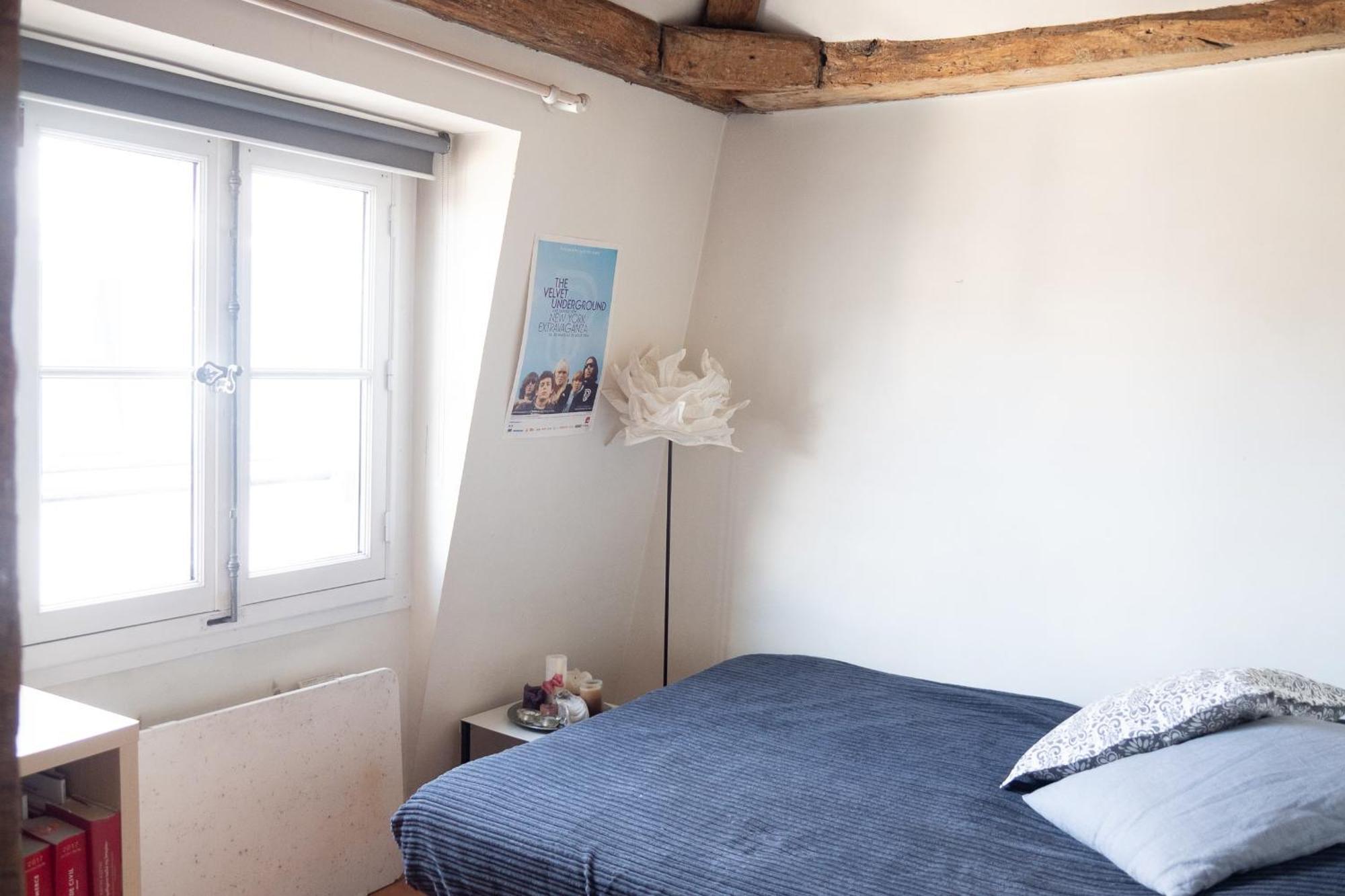 Apartment Lovely In The 7th