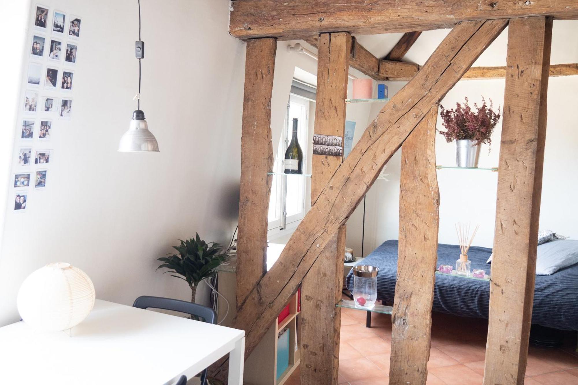 Lovely In The 7th Apartment Paris